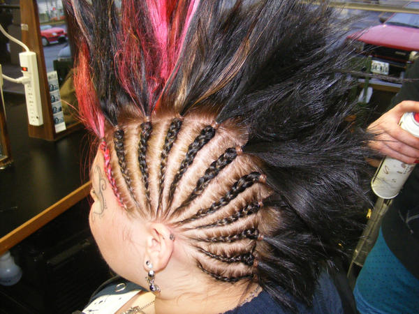 Braided Mohawk by Denee1121
