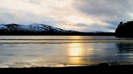 Loch Garten