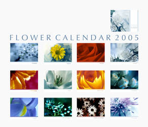 2005 Flowers Calendar