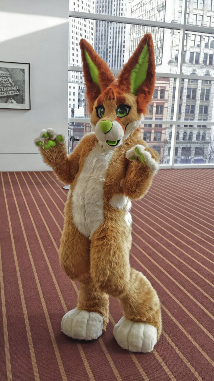 Kiwi Fursuit