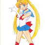 Sailor Moon Traditional Look.