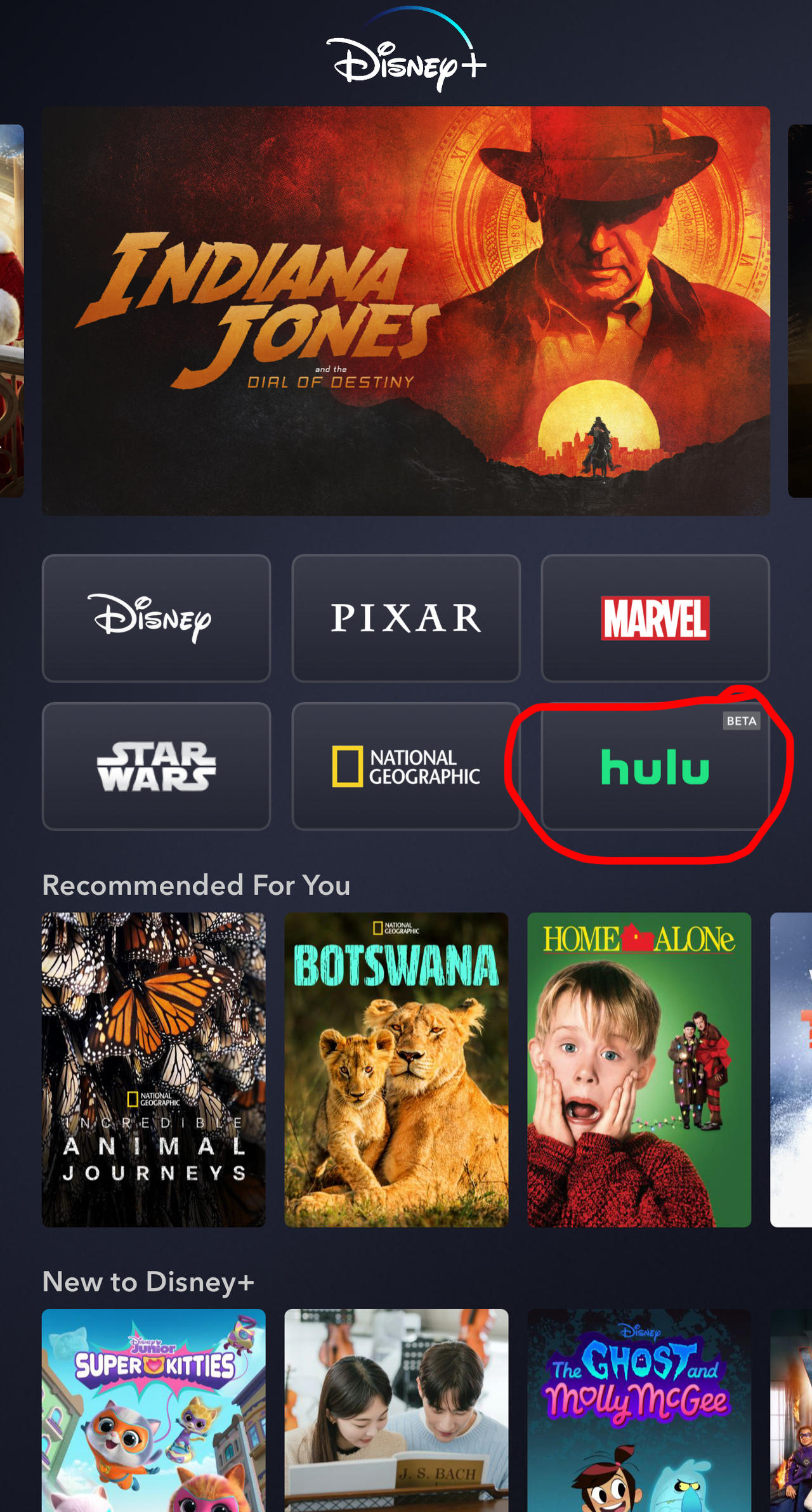 I saw This Hulu Beta in the Disney+ Plus. by SuperJedd19 on DeviantArt
