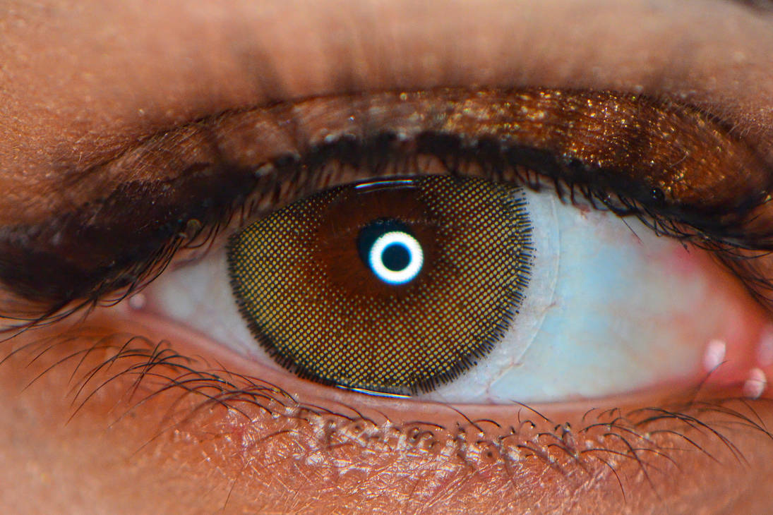 Lens-Eye