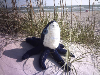 Relaxing on the Sand