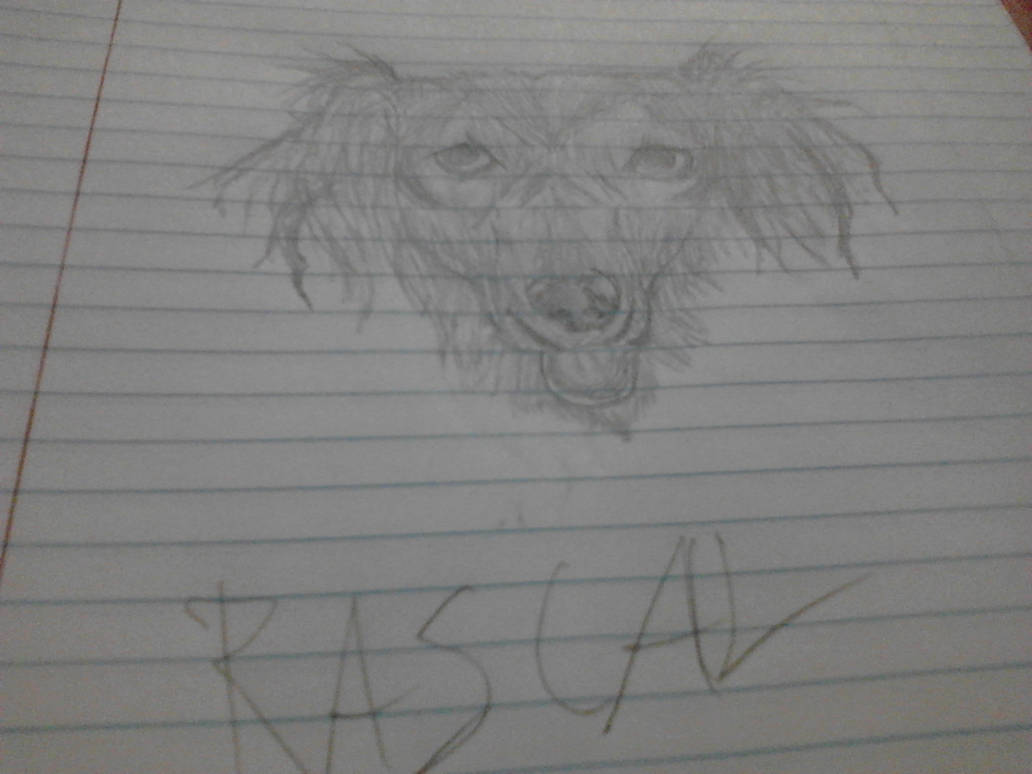 Dog Rascal Gif My Dog Rascal by Wolfman4455 on DeviantArt