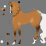 Calvariam-Equus ID: 15 Import 1