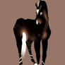 ID 78 | Rescue Calvariam Equus