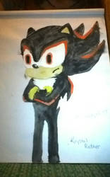 shadow the hedgehog