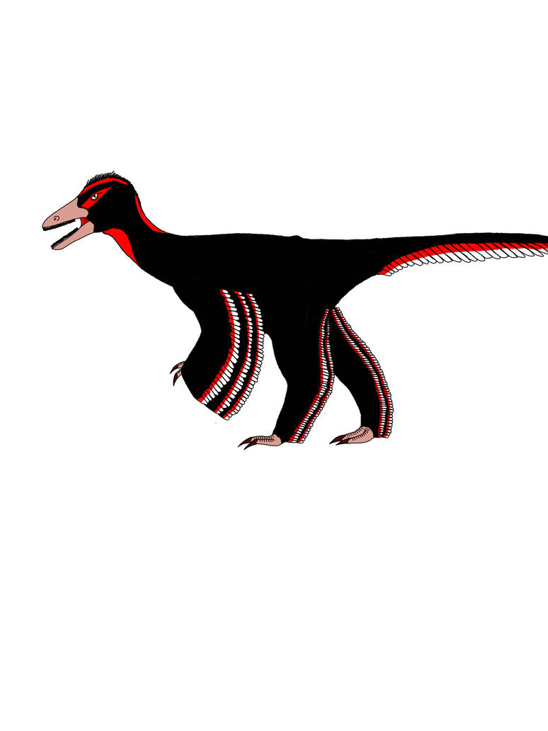 Aurornis by Prehistoric07 on DeviantArt