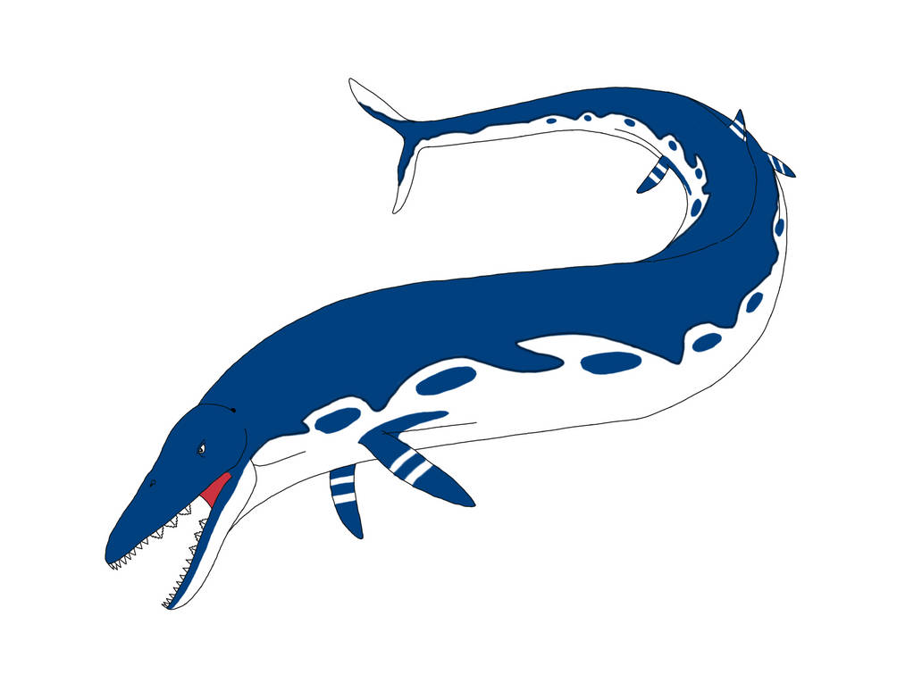 Basilosaurus Deviantart Basilosaurus by Prehistoric07 on DeviantArt