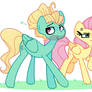 Flutters and zephyr