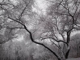 Winter 10