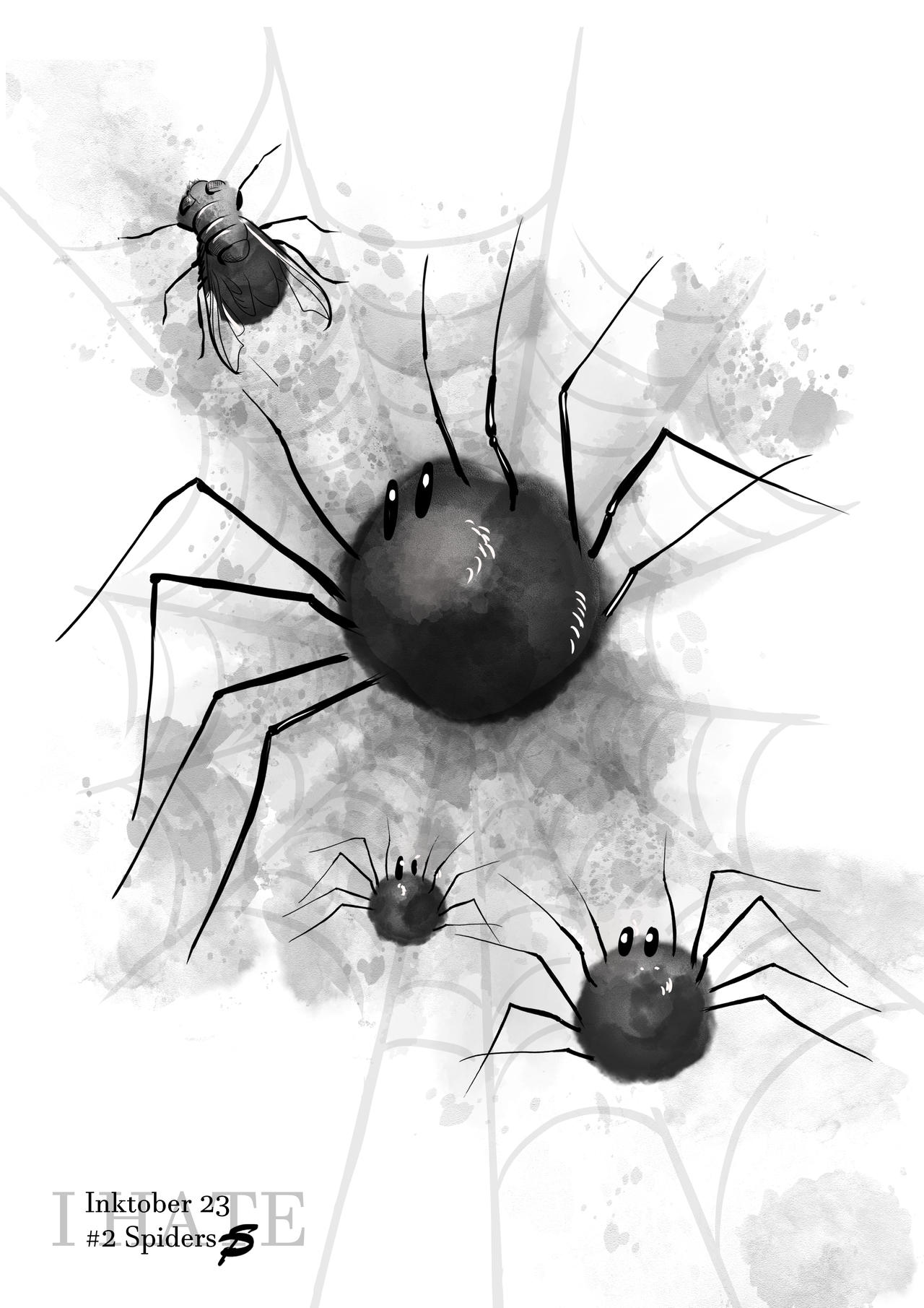 Spider Insect Deviantart Inktober'23 Day2 - Spiders by Nocuria on DeviantArt