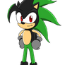 Ashura the hedgehog