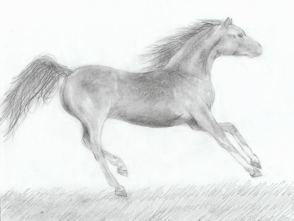 Cantering mare