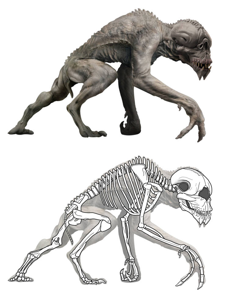 Primeval Future Predator Skeleton by The-ARC-Minister on DeviantArt