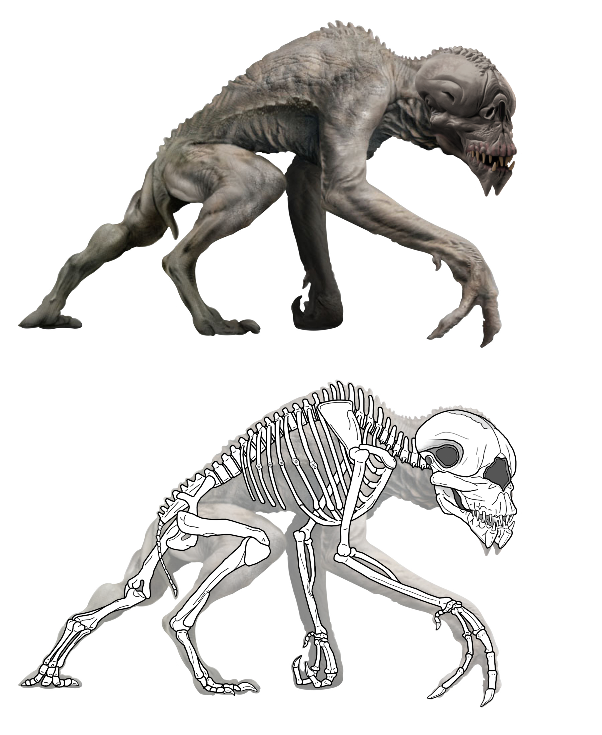 Primeval Future Predator Skeleton by The-ARC-Minister on DeviantArt