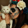 Santa Muerte and  white cat