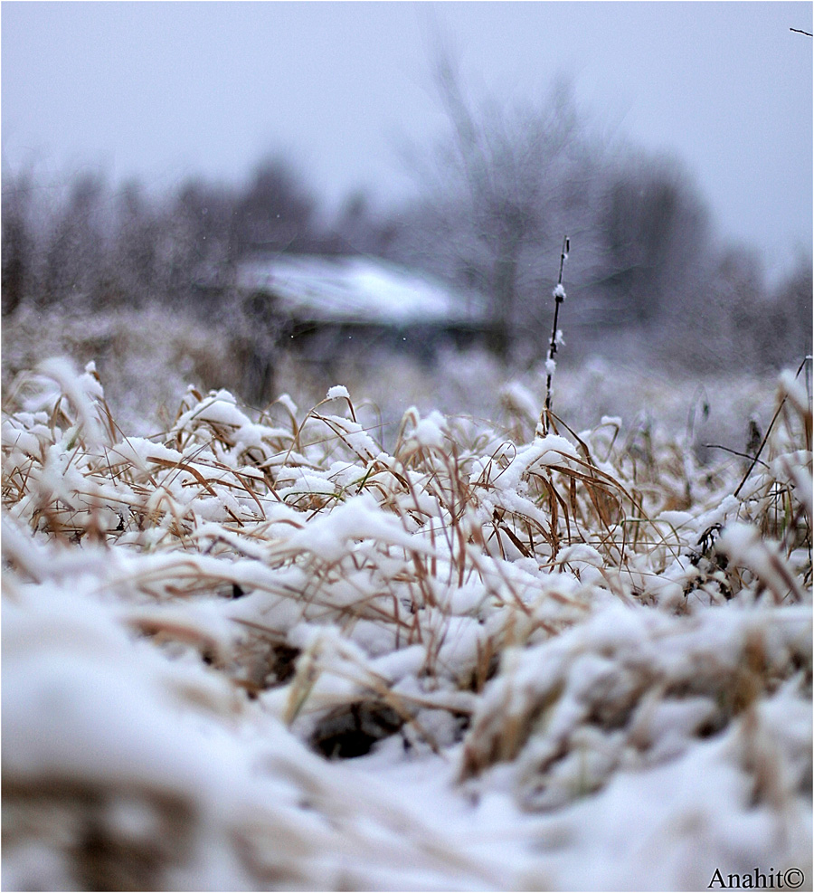 winter village