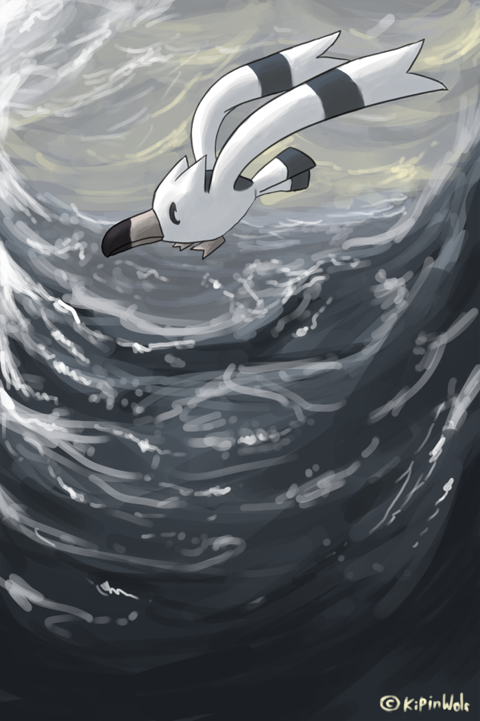 Wingull by Kipine on DeviantArt