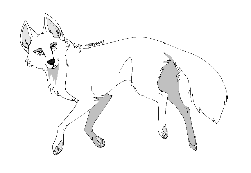 Wolf lineart