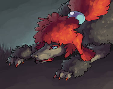 Zoroark poodle