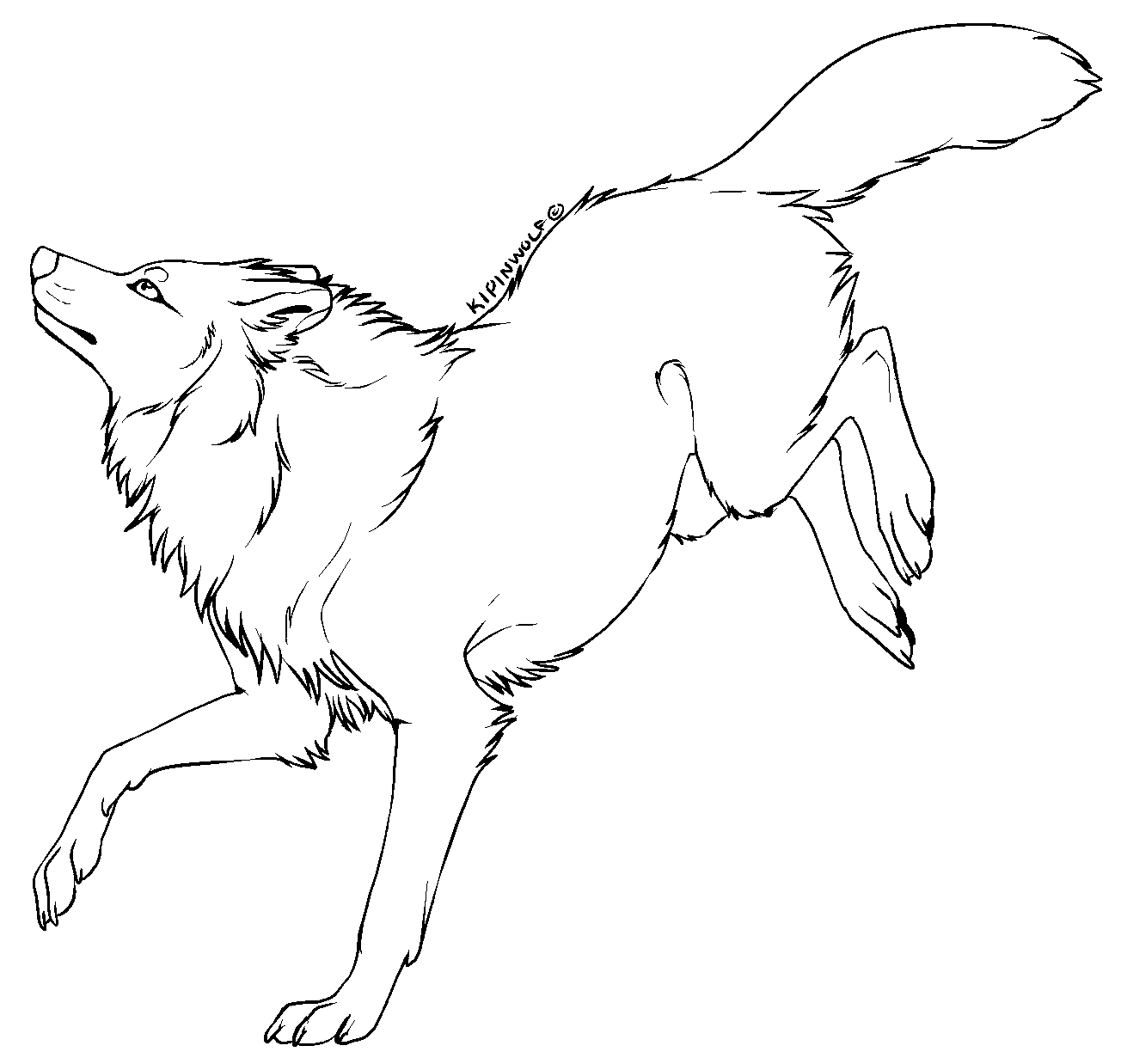Free lineart wolf 2 by Kipine on DeviantArt