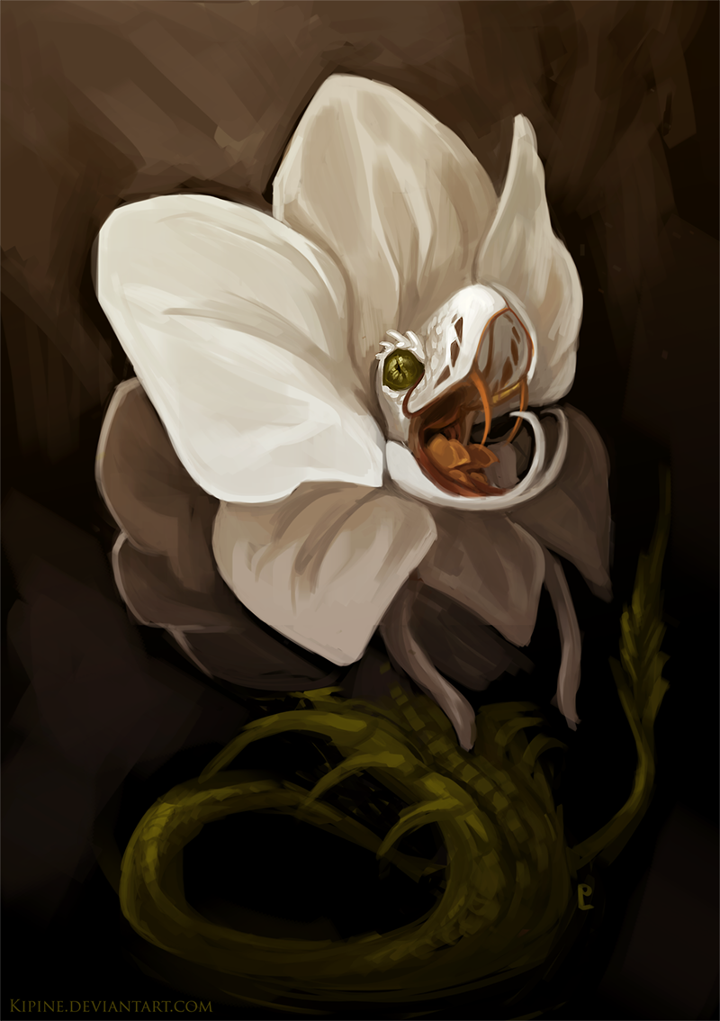 Orchid Viper