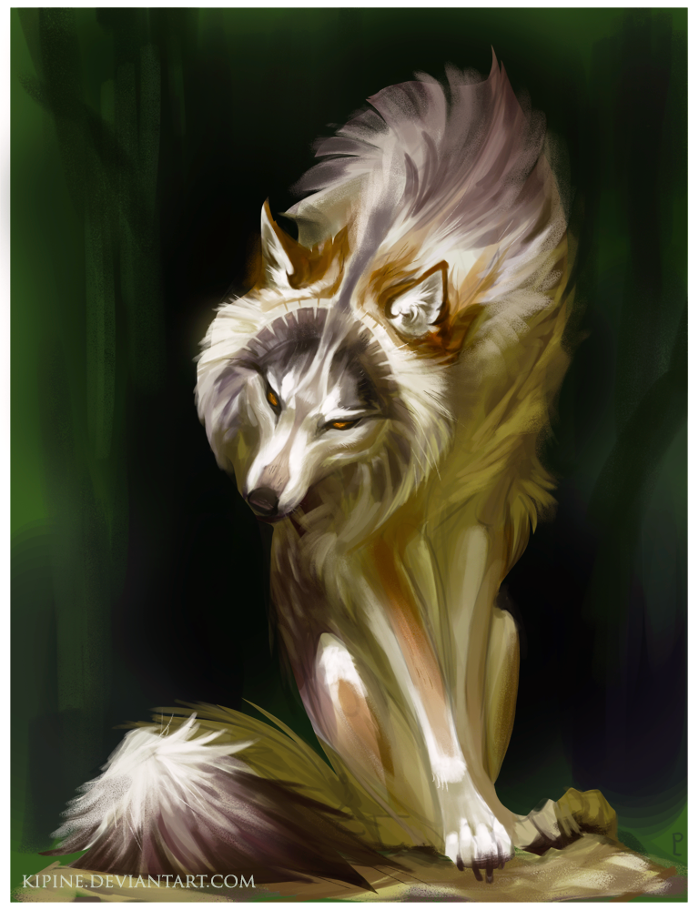 Wolf by Kipine on DeviantArt