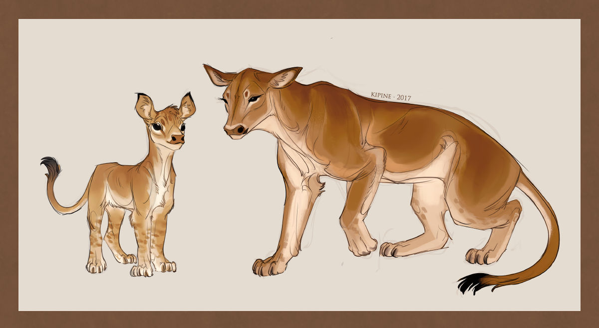Cow and Calf Lion by Kipine on DeviantArt