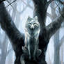 The Wolf Who Sat in a Tree