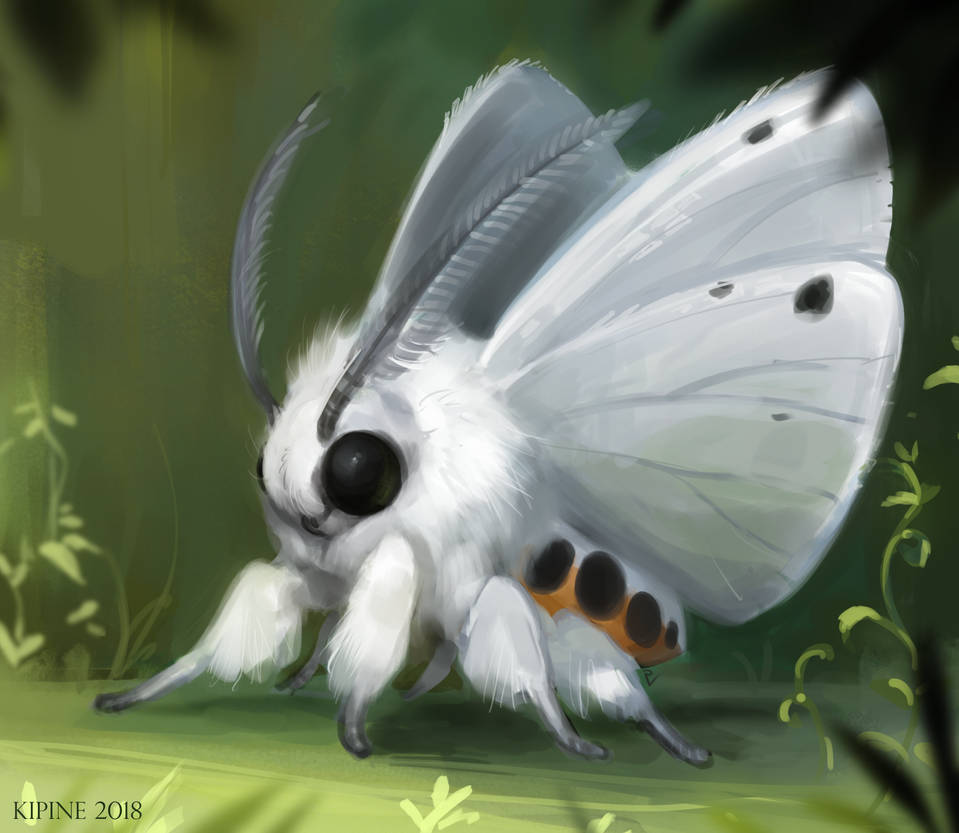 moth by Kipine on DeviantArt