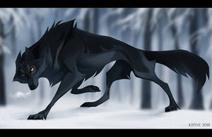 Black Wolf