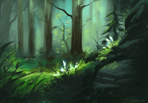 Early summer forest