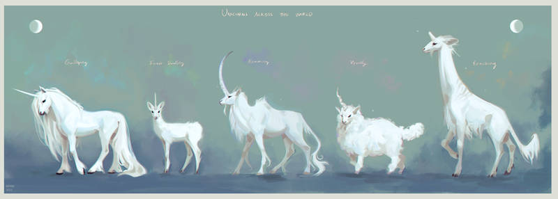 Unicorns Across The World