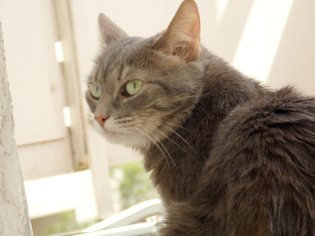 Grumpy part two by SatsukiNekozawa on DeviantArt