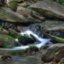 Mountain Stream