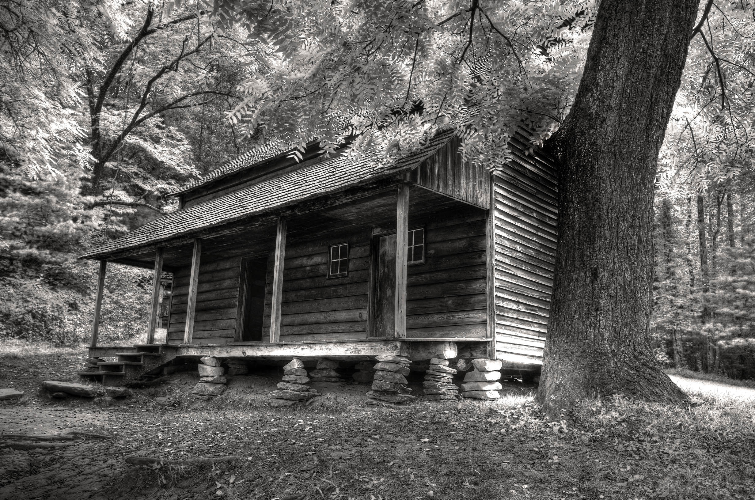 Tennessee Cabin