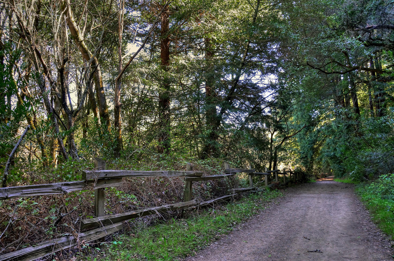 Quiet Road