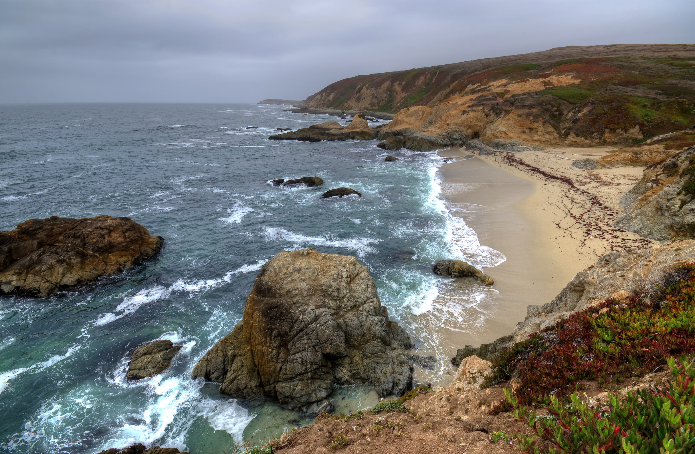 Bodega Headlands