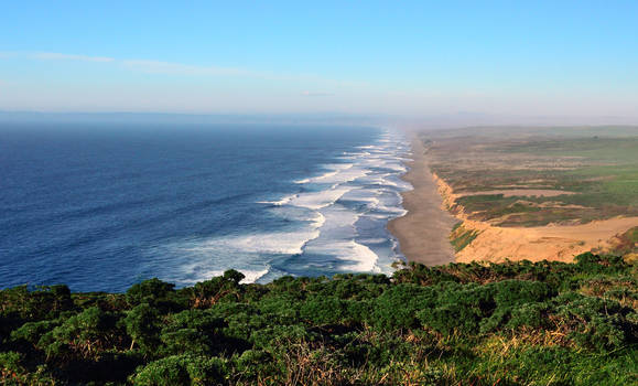 Point Reyes Seashore 6