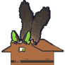 cali in da box (bonus)
