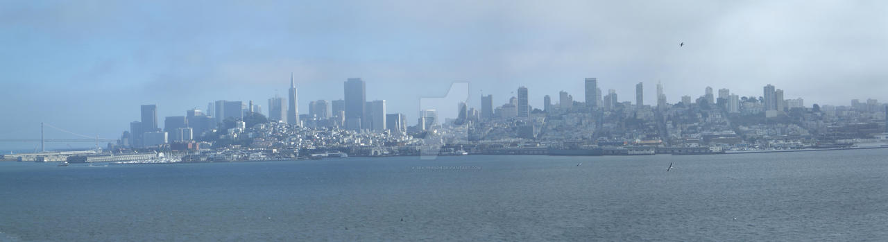 The View from Alcatraz