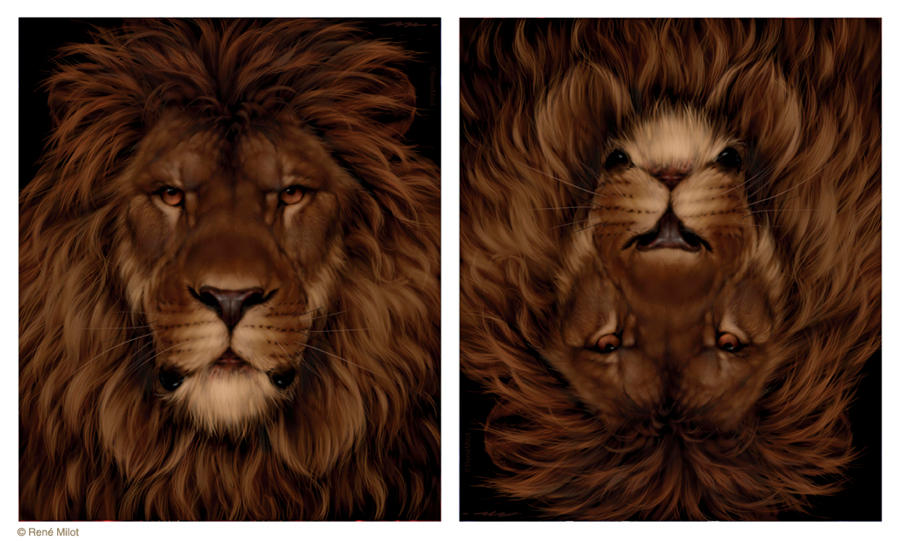 Lion mouse by ReneMilot on DeviantArt