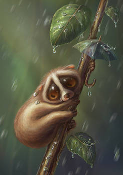 Slow loris with a tiny umbrella