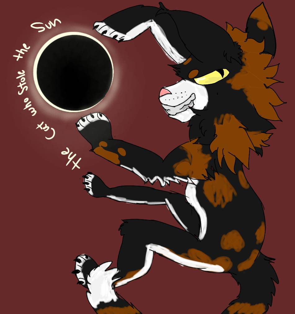 Red Sol Cat Sol warrior cats by meodog25 on DeviantArt