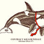 Contractwhale
