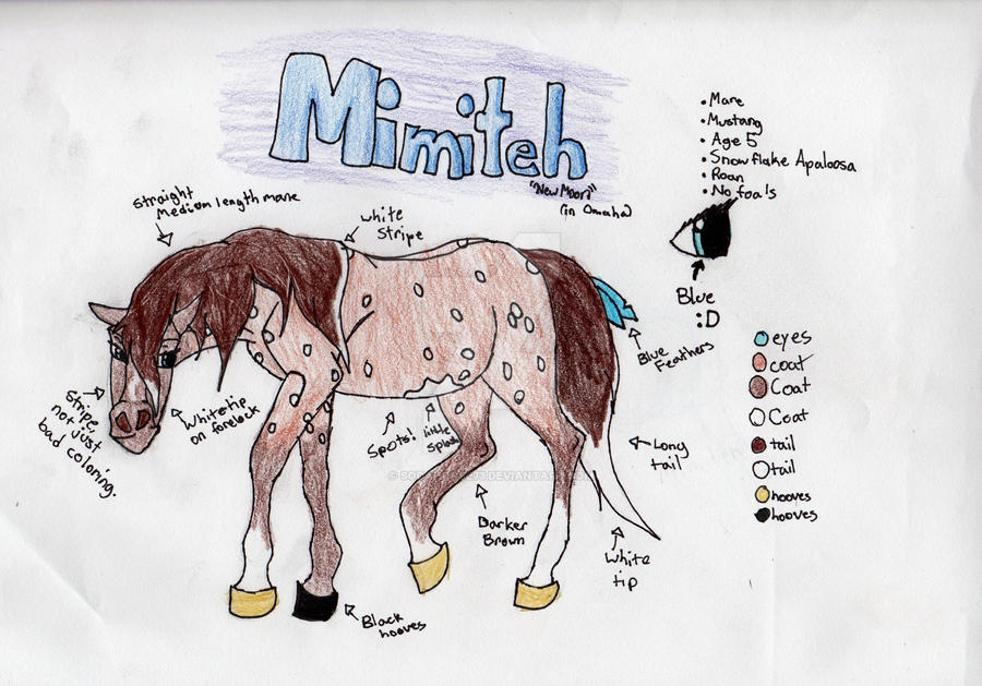 Contest: Mimiteh Reference