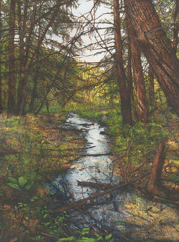 Peace in the Forest