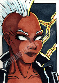 Storm 2023 Sketchcard